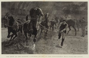 عرض جمعية Hackney Stud-Book في القاعة الزراعية ، السرعة والعمل بواسطة جون تشارلتون