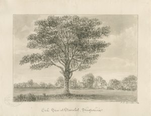 Boscobel - The Royal Oak: رسم بني داكن ، 1820 بواسطة جون شيسيل بكلر