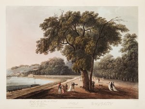 St Cloud ، The Great Walk of St Cloud ، The Bridge of Sevres ، إلخ. ، التوضيح من فرساي وباريس وسانت دينيس ، حانة. 1805 (أكواتينت) بواسطة جون كلود ناتس