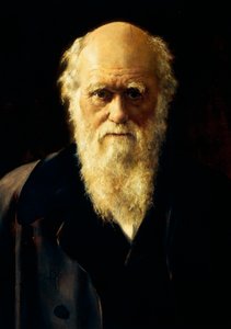 Portrait of Charles Darwin