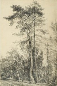 للأشجار ، c.1833 بواسطة جون كونستابل