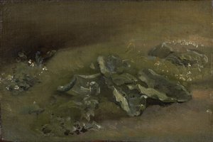 دراسة الأرقطيون ، c.1810-14 أو c.1828 بواسطة جون كونستابل