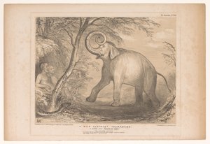 التقى Spotprent باللورد Ellenborough als een wilde olifant فيل بري ينفخ. مشهد من الفردوس المفقود! (العنوان على الكائن) اسكتشات HB (عنوان السلسلة على الكائن) بواسطة جون دويل