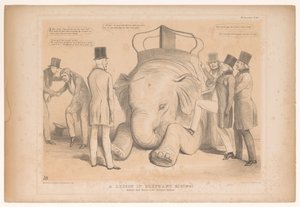 Spotprent فوق de aanstelling van Henry Hardinge als gouverneur van India درس في ركوب الفيل! درس من الطبيعة في حدائق الحيوان (العنوان على الكائن) اسكتشات HB (عنوان السلسلة على الكائن) بواسطة جون دويل