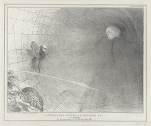 Talleyrand als een spin in zijn web، 1832 عنكبوت موقر وذبابة صاخبة. (خرافة) (العنوان على الكائن) اسكتشات سياسية (عنوان المسلسل) بواسطة جون دويل