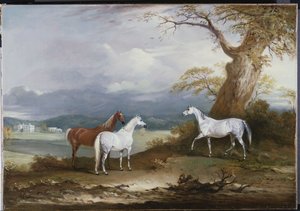 ماري لورد ماكدونالدز على أرض قاعة ثورب هول ، رودستون ، يوركشاير ، 1836
