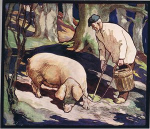 خنزير يبحث عن الكمأ ، رسم توضيحي من "Helpers Without Hands" بقلم غلاديس ديفيدسون ، نُشر عام 1919 (ليثو ملون) بواسطة جون إدوين نوبل
