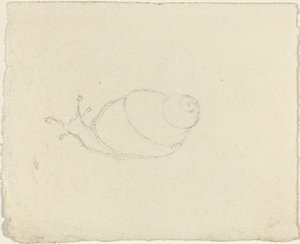 القواقع [وجه الصفحة والعكس] بواسطة جون فلاكسمان