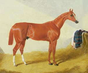 إليس ، 1836 بواسطة جون فريدريك هيرينج الأب