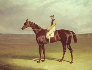السيد M. Stanleys Crutch في نيوماركت هيث ، 1833 بواسطة جون فريدريك هيرينج الأب
