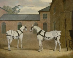 الخيول ذات العجلات الرمادية للسيد سويربي في ساحة عمله في بوتريدج بوري ، هيرتفوردشاير ، 1836