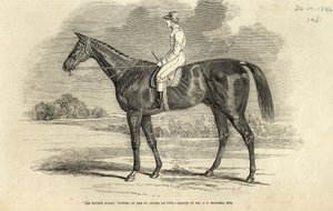 "السير تاتون سايكس" ، الفائز بسانت ليجير ، من "أخبار لندن المصورة" ، 26 سبتمبر 1846 بواسطة جون فريدريك هيرينج الأب