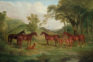 The Streatlam Stud ، الأفراس والمهرات ، 1836 بواسطة جون فريدريك هيرينج الأب