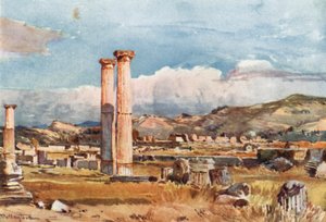 أولمبيا. Palaestra وبقايا معبد زيوس بواسطة جون فوليلوف