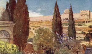 أشجار حديقة جثسيماني بواسطة جون فوليلوف