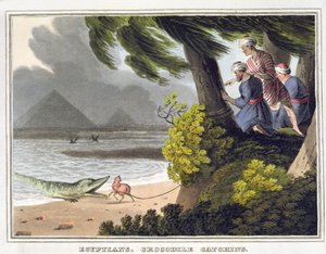 اصطياد التماسيح المصرية ، نقشها ماثيو دوبورج (من 1785 إلى 1820) ، نشره إدوارد أورم