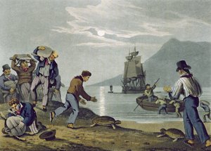 صيد السلحفاة على الأرض ، منقوش من قبل ماثيو دوبورج (fl.1785-1820) ، نشره إدوارد أورم ، 1813 بواسطة جون هيفيسايد كلارك