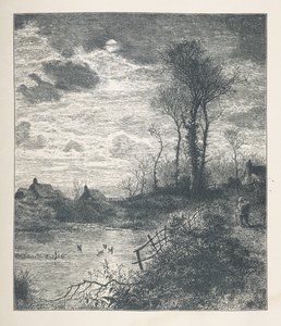 اللوحة 23. بركة ، من صور الطبيعة ، سلسلة من ثلاثين رسمًا إيضاحيًا أصليًا رسمها جيه إتش ديل ، ونقشها آر. باترسون ، جون هنري ديل