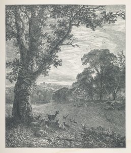 اللوحة 3. الغزلان حول شجرة.  صور الطبيعة. سلسلة من ثلاثين رسمًا إيضاحيًا أصليًا رسمها جيه إتش ديل ونقشها آر. باترسون.  جون هنري ديل