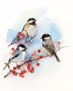 Chickadees مع التوت ، 2017 ، (ألوان مائية) بواسطة جون كيلينغ