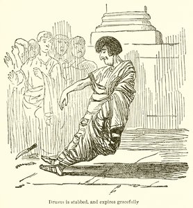 Drusus طعن وينتهي برشاقة