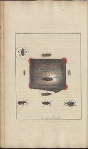 Lindsay Drawings Vol. VI, 95 بواسطة جون ليندسي