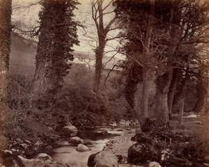 بدون عنوان ، ج. 1859. بواسطة جون لويد