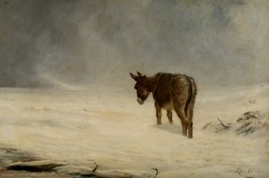 حمار في الثلج