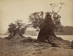جزر في خليج ليمون 1871. بواسطة جون موران