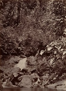 مشهد استوائي ، كاسكيد ، نهر ليمون ، 1871. بواسطة جون موران