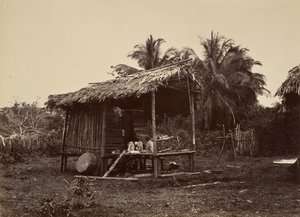 مشهد استوائي ، Native Hut ، توربو ، 1871. بواسطة جون موران