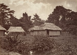 مشهد استوائي ، قرية توربو ، 1871. بواسطة جون موران