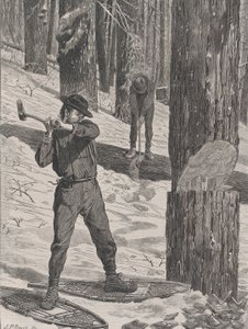 التثاقل في الشتاء كل سبت ، المجلد. الثانية ، سلسلة جديدة ، 28 يناير 1871.