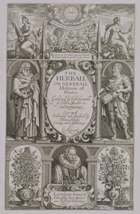 صفحة العنوان للطبعة الثانية من The Herball بقلم جون جيرارد (1564-1612) 1633 بواسطة جون باين