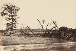 الخط المتطرف من الأعمال الكونفدرالية ، كولد هاربور ، أبريل 1865 (طبعة زلال مثبتة على ورق منسوج)