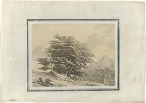 سيدار بواسطة جون روبرت Cozens