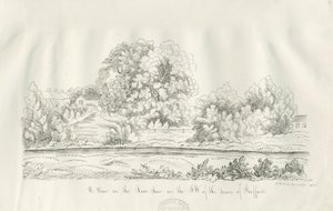 Stafford - River Sow: pen and ink drawing