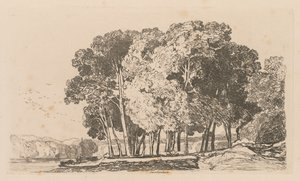 دراسات مجانية لوحة 3 أشجار بالقرب من تويكنهام ، 1838. بواسطة جون سيل كوتمان