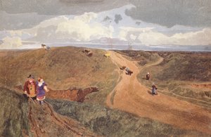 Mousehold Heath ، نورويتش ، c.1810 (قلم رصاص ، مرحاض على ورق) بواسطة جون سيل كوتمان