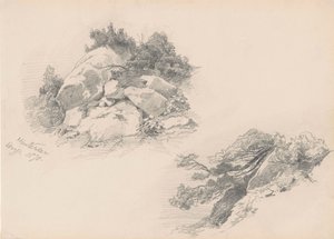 Rocks and Brush ، Hintersee ، ألمانيا ، 1871 (الجرافيت على ورق wover) بواسطة جون سينغر سارجنت
