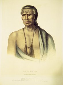 صورة لاب لاب با وين 1837 (ليثو ملونة يدوياً) بواسطة جون ت. بوين