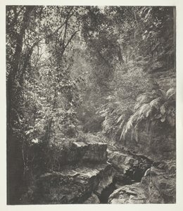 ممر جبلي في فورموزا ، ج. 1868. بواسطة جون طومسون