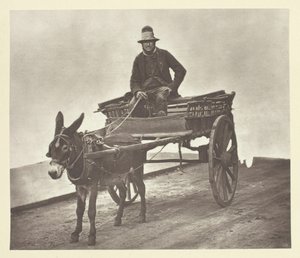 بلاك جاك ، 1881. بواسطة جون طومسون