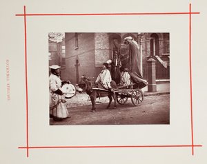 مجسمات نوفمبر 1877. بواسطة جون طومسون