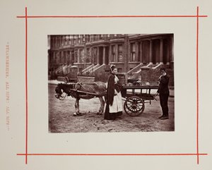 فراولة. كلها ناضجة! كلها ناضجة! 1877. بواسطة جون طومسون