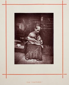 الزواحف 1877. بواسطة جون طومسون
