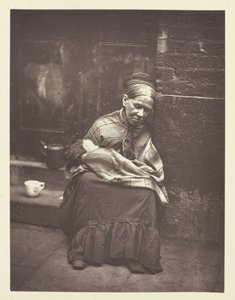 الزواحف ، 1881. بواسطة جون طومسون