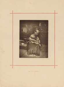 الزواحف ، ج. 1877. بواسطة جون طومسون