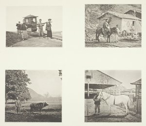 السيدان ، ضابط عسكري ، The Plow ، A North China Pony ، ج. 1868. بواسطة جون طومسون