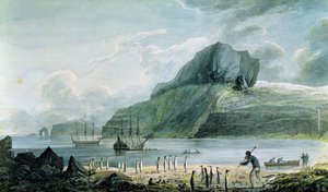 منظر لميناء عيد الميلاد في أرض كيرغولين ، 1781-4 بواسطة جون ويبر